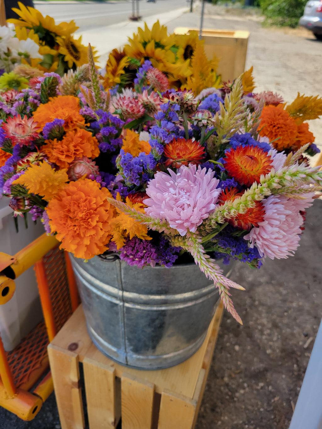 Fall 2026 Flower CSA