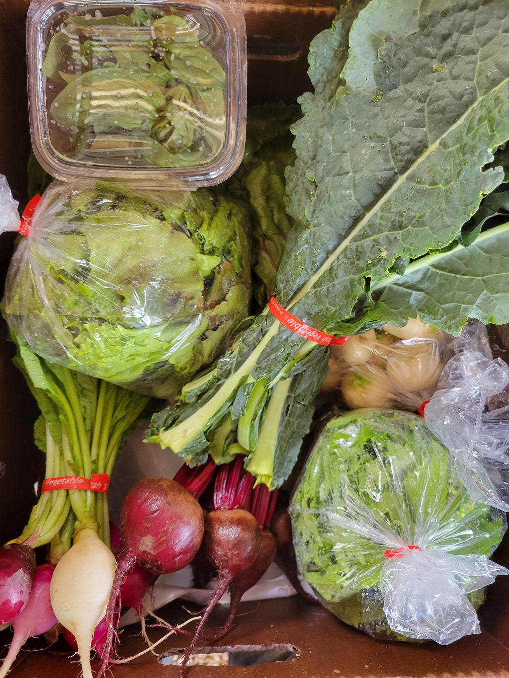Fall 2026 CSA Share