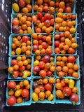 Mixed Cherry Tomatoes