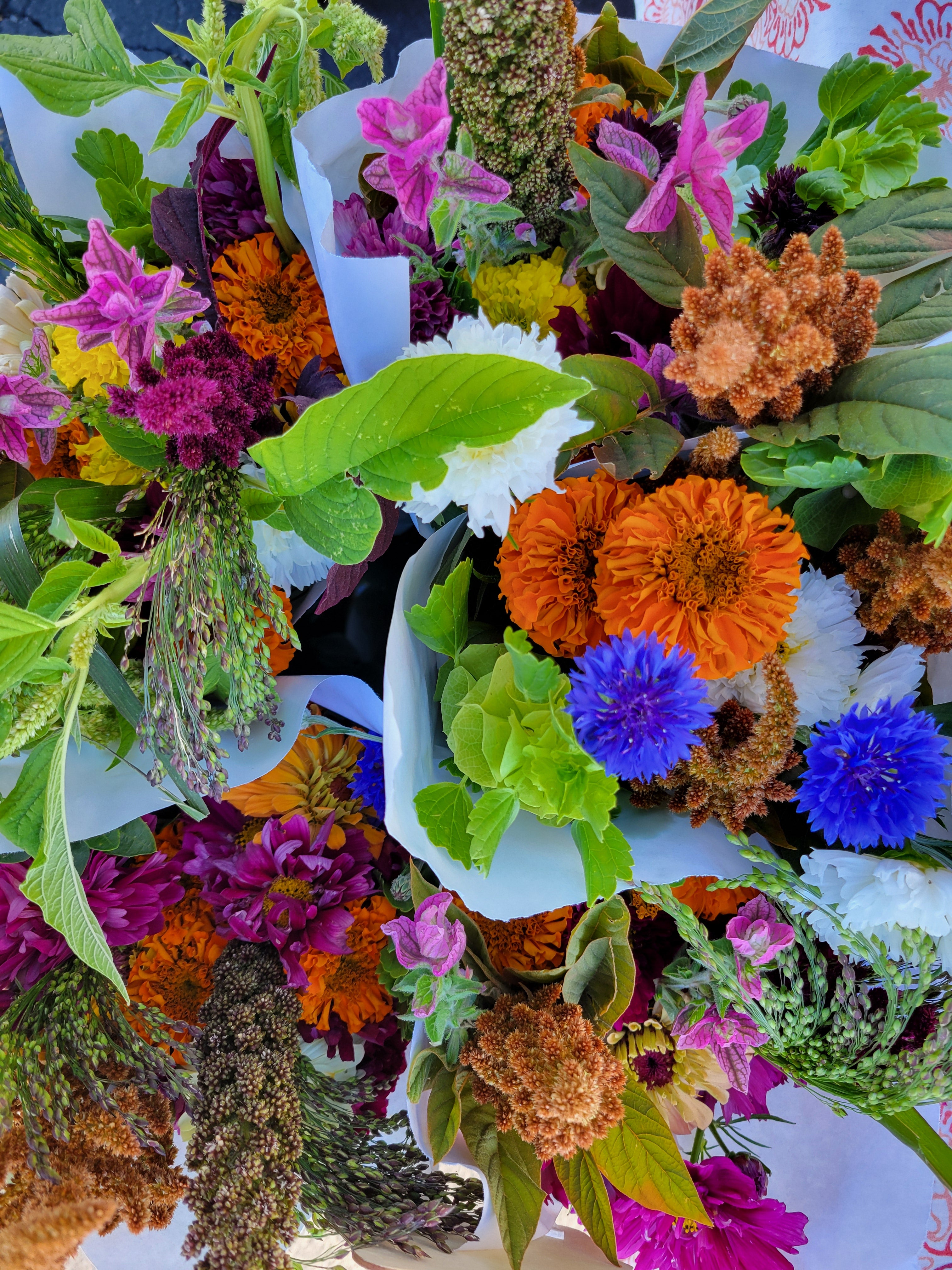 Fall 2026 Flower CSA