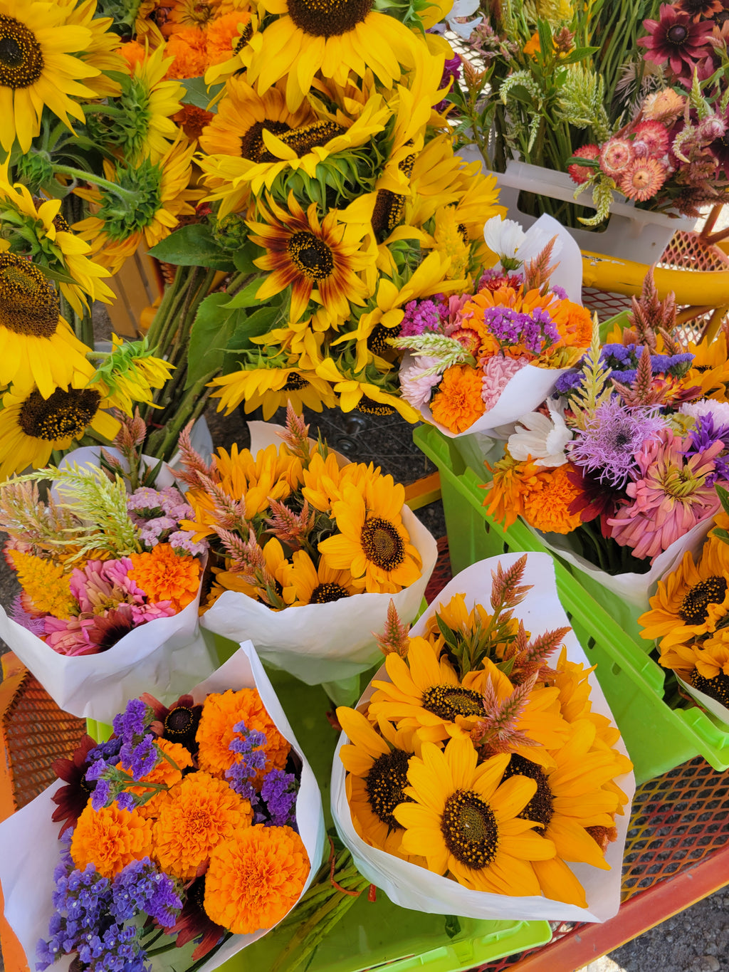 Fall 2026 Flower CSA