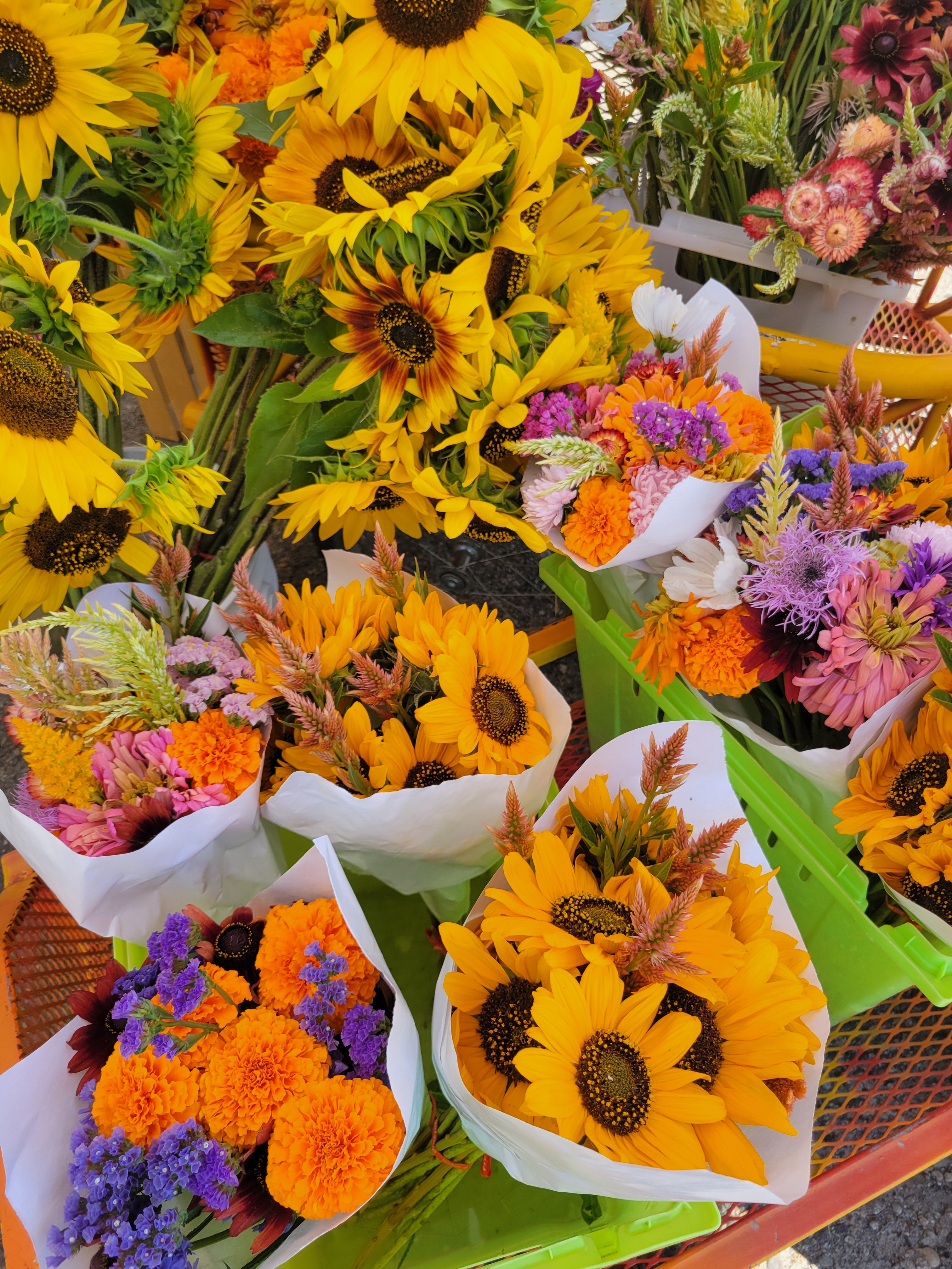 Fall 2026 Flower CSA
