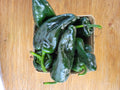 Poblanos