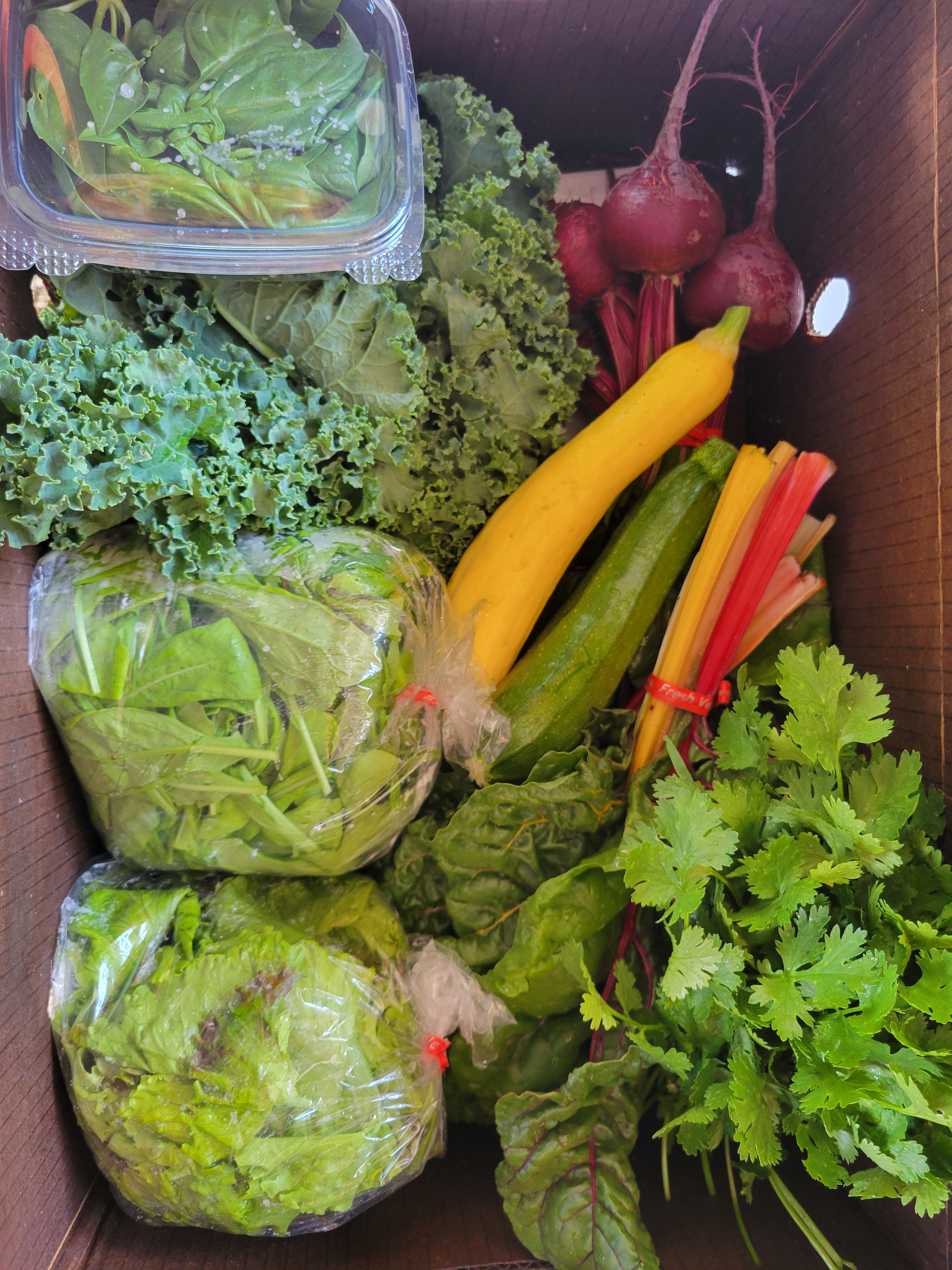 Fall 2026 CSA Share