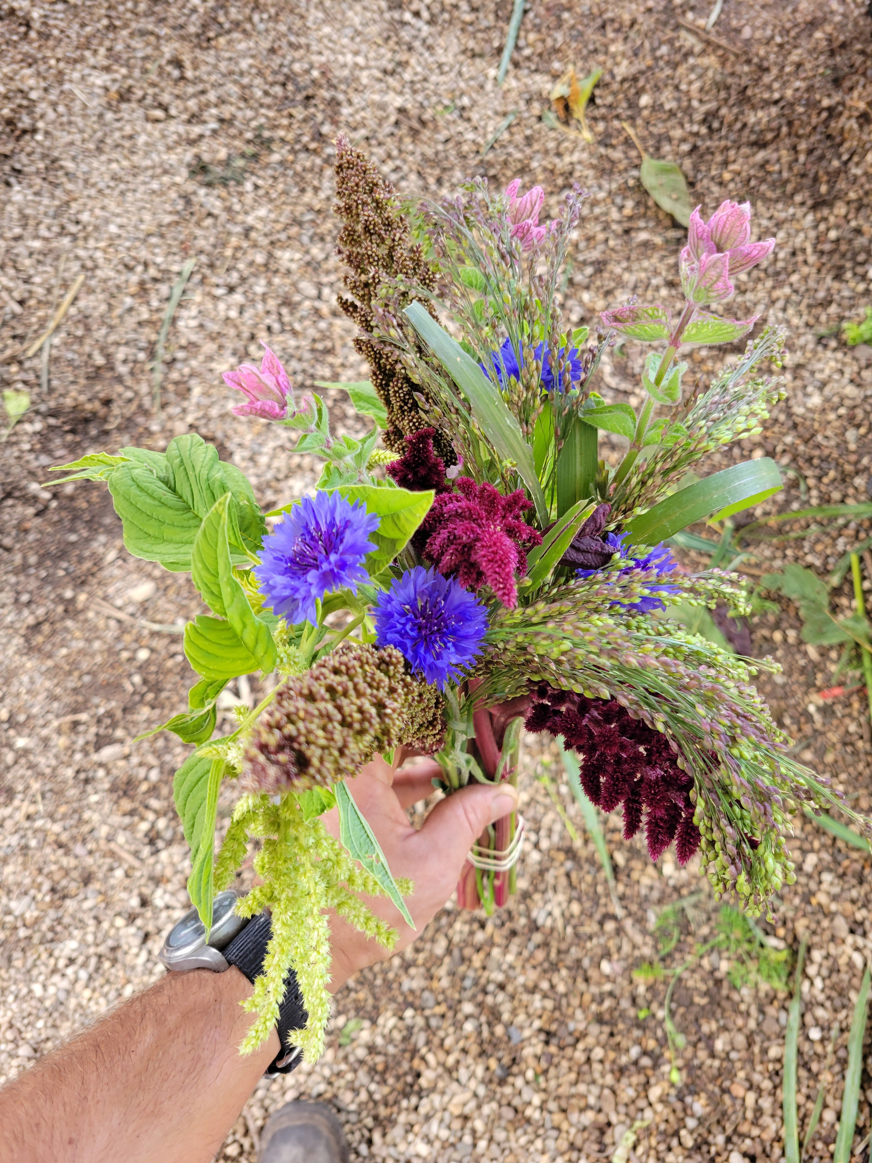Drying Bouquet