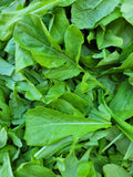 Arugula