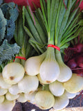 Walla Walla Onions