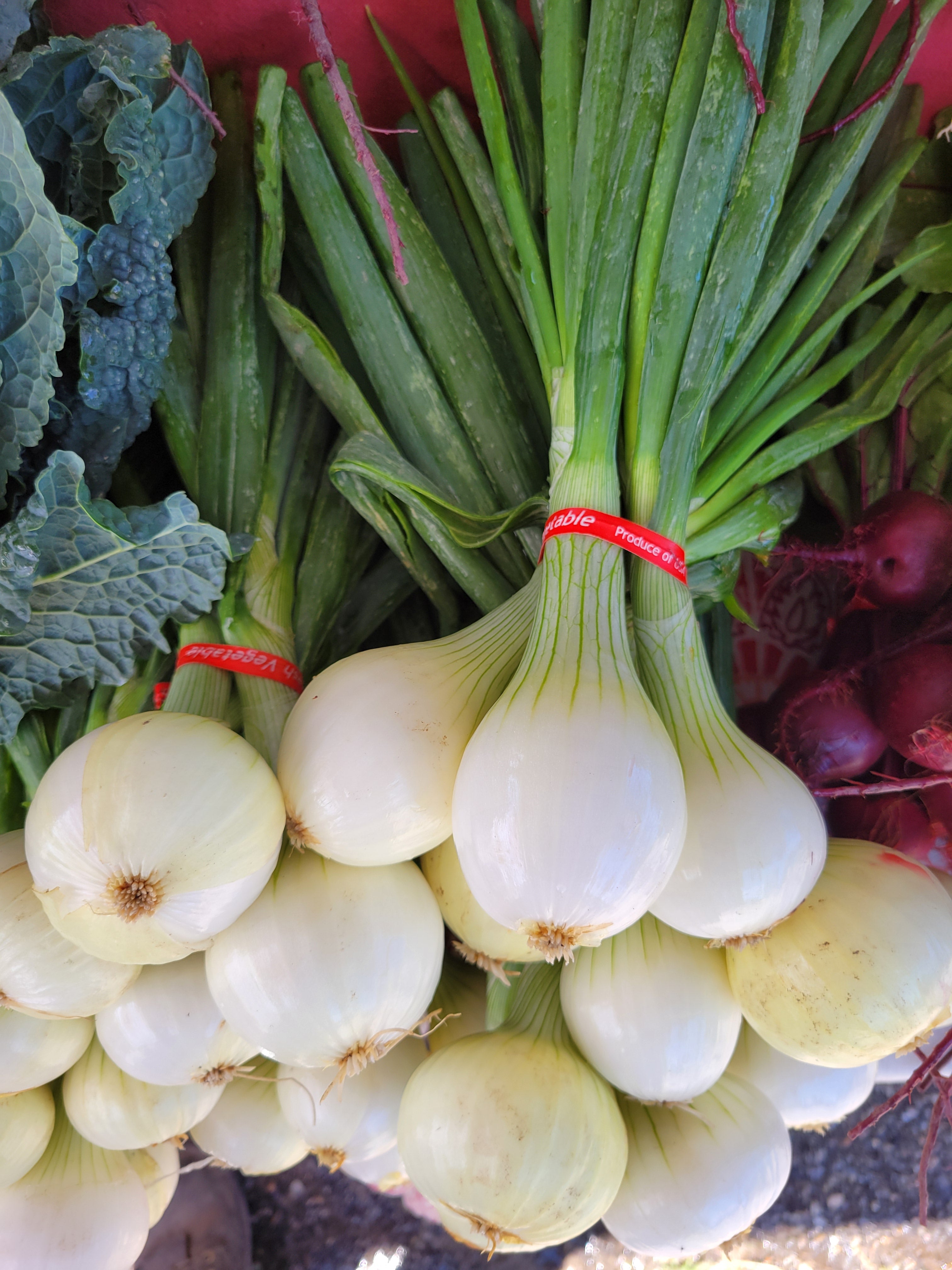 Walla Walla Onions